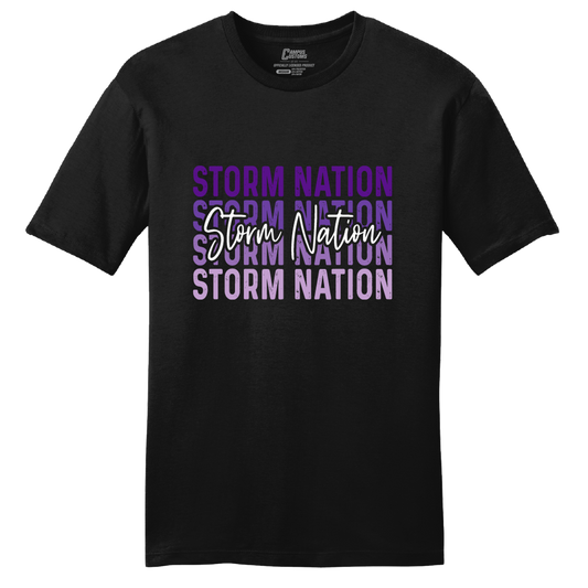 Celebration High School Ombre Script Storm T-Shirt